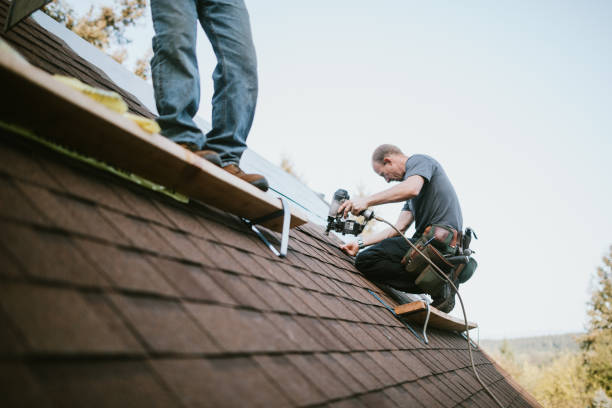 Gutter Installation and Roofing in West Livingston, TX